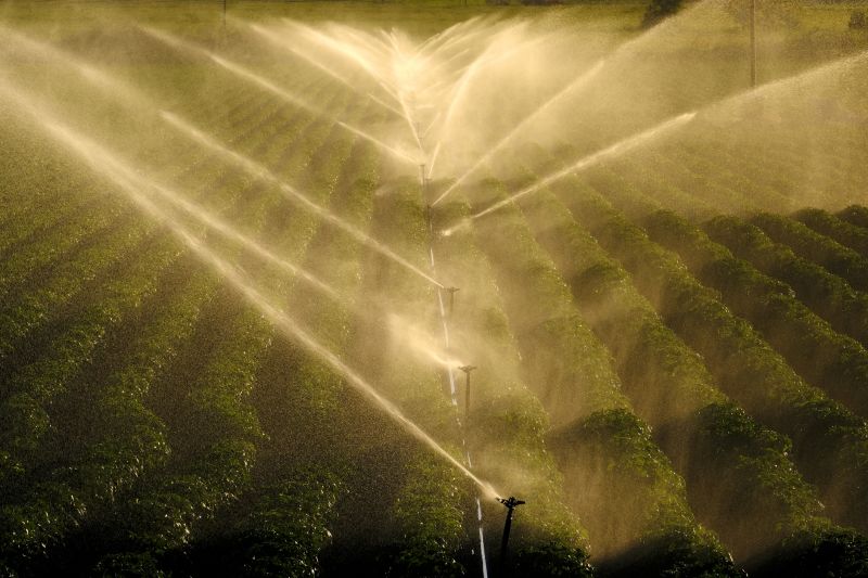 Commercial Irrigation Service in Aiken, SC
