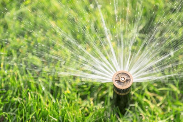 Sprinkler Valve Repair