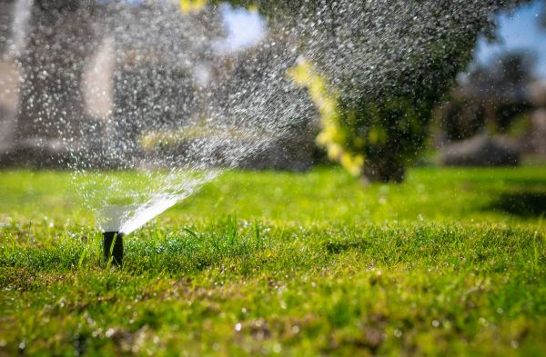 Drip Line Repair - Drip Line Repair Cibolo, Texas