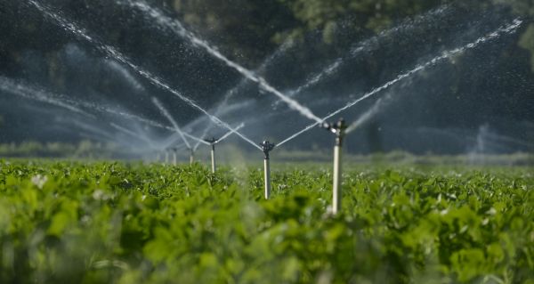Broken Sprinkler Repair