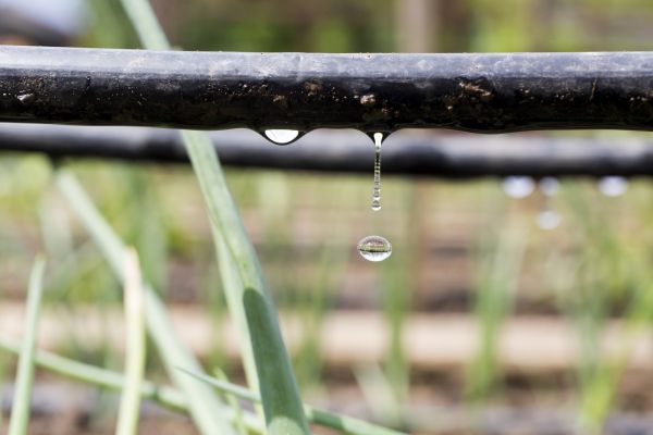 Drip System Repair